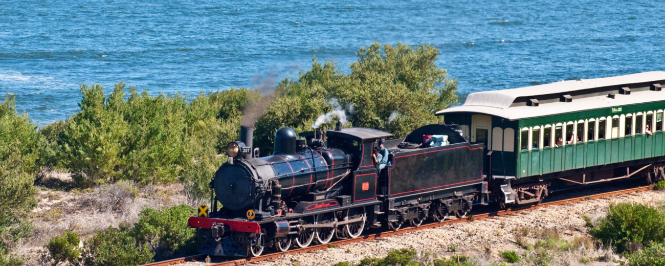 Cockle Train