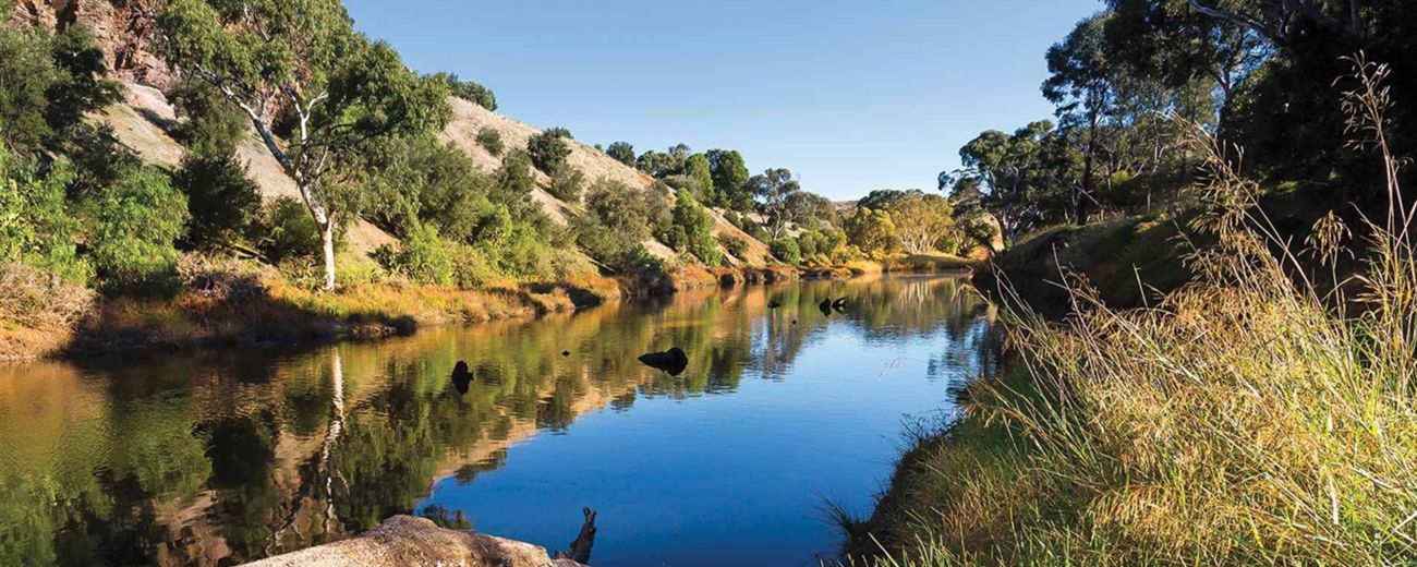 Onkaparinga River National Park