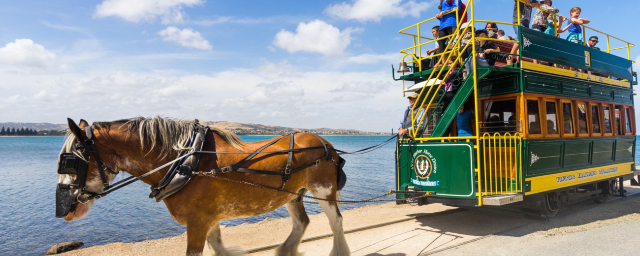 Victor Harbor Horse Drawn Tram