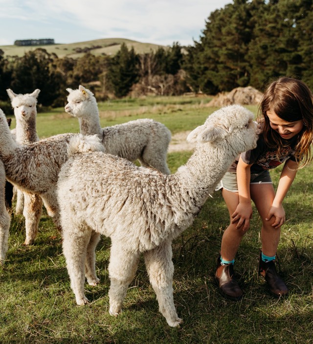 Family Fun on the Fleurieu