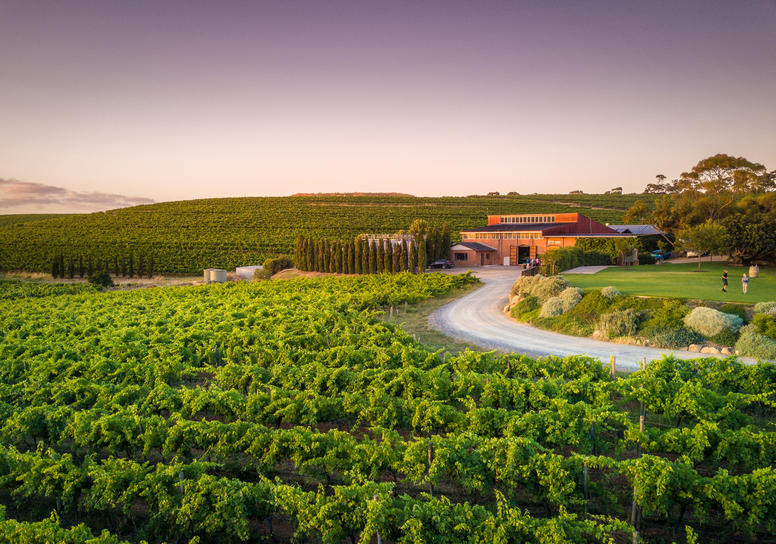 Cellar Doors in the Fleurieu Peninsula Fleurieu Peninsula Tourism