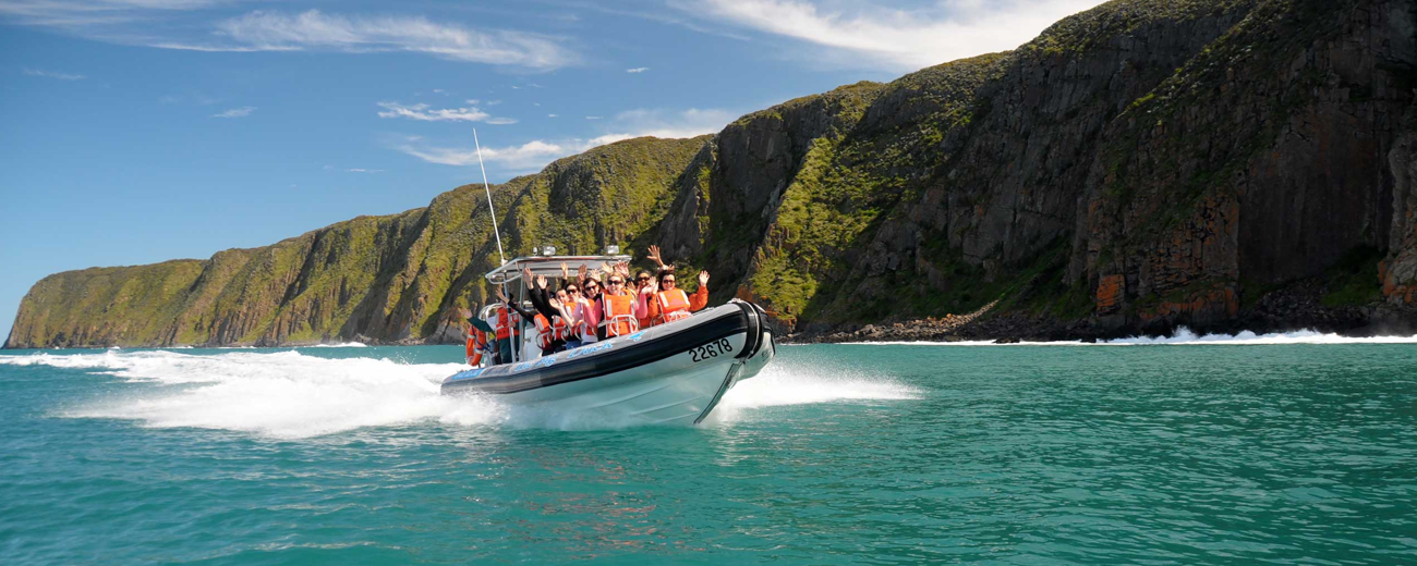 Big Duck Boat Tours, Fleurieu Peninsula