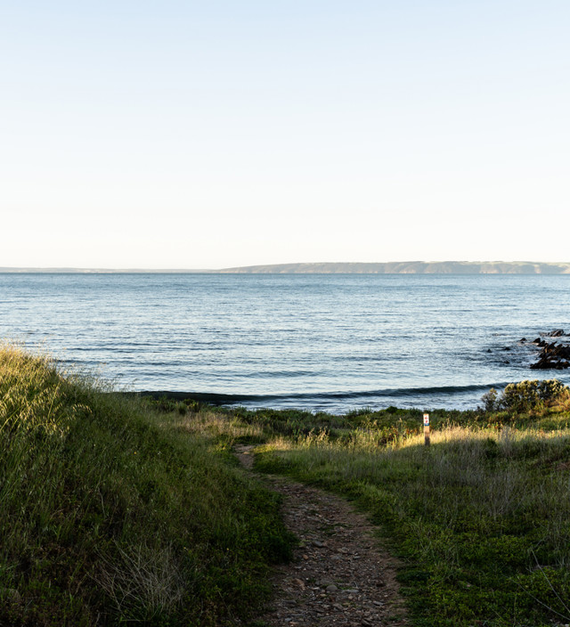 Cape Jervis 