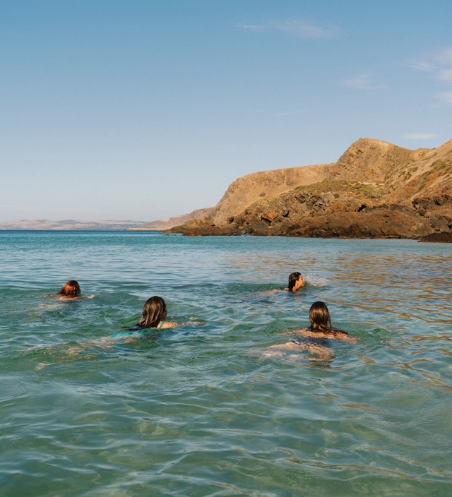 Summer on the Fleurieu Peninsula