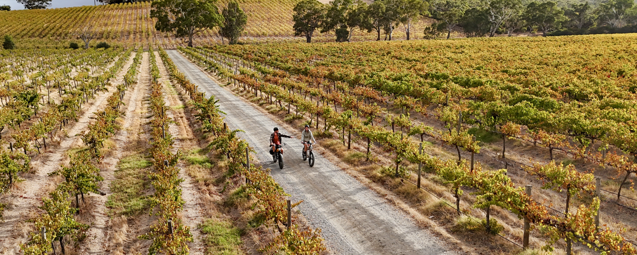 Deluxe Ebike Tours, McLaren Vale