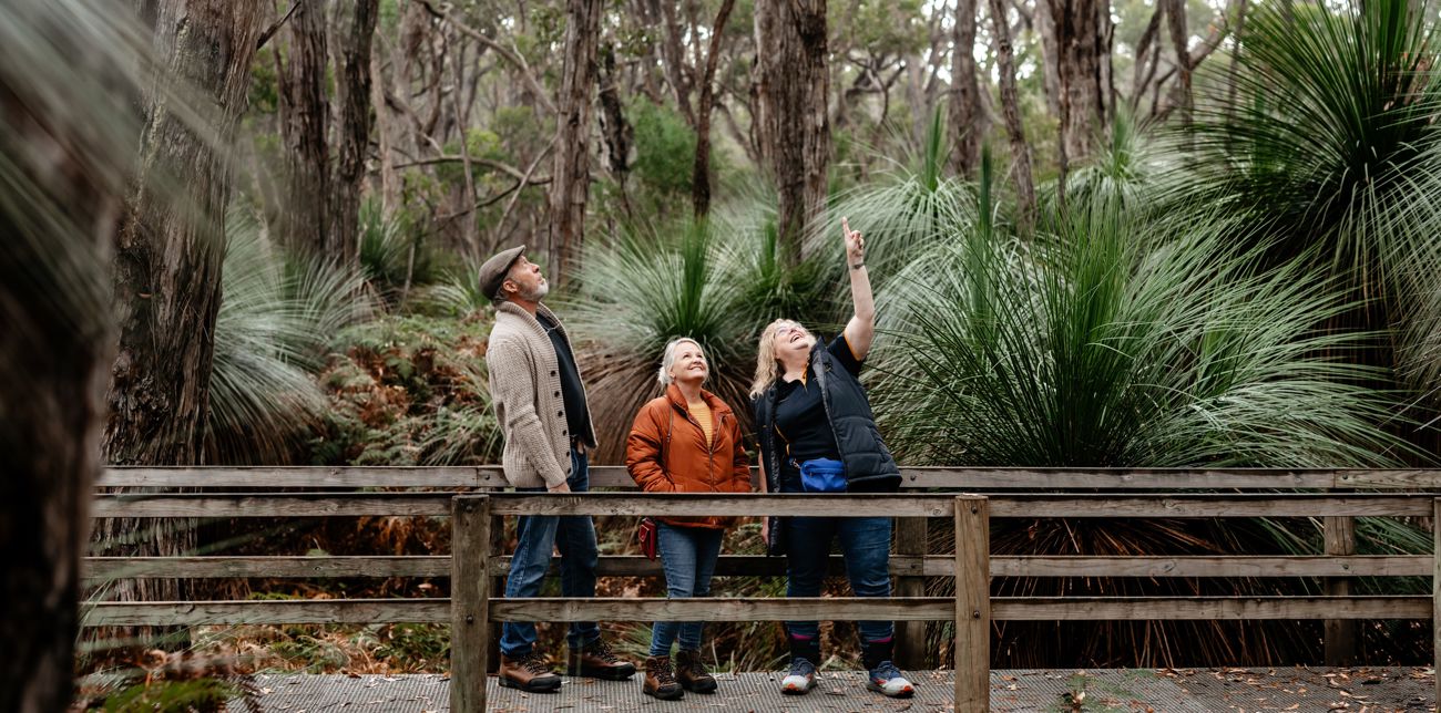 Southern Fleurieu Heritage Trail, The Backyard Universe