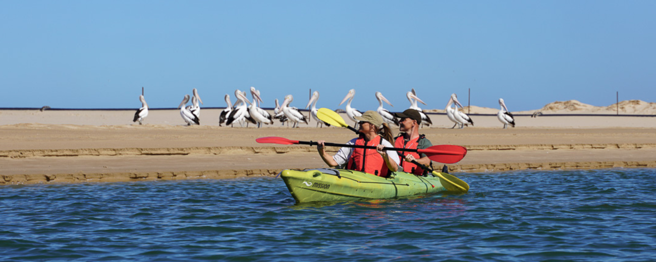 Canoe The Coorong, Murray Mouth