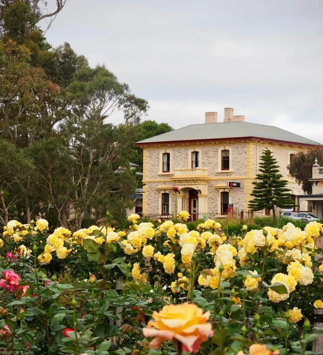 Top Things to Do in Strathalbyn