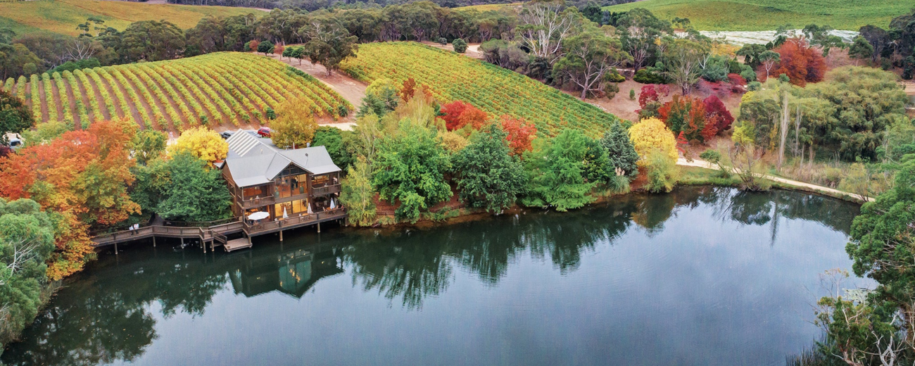 Adelaide Hills Wine Region