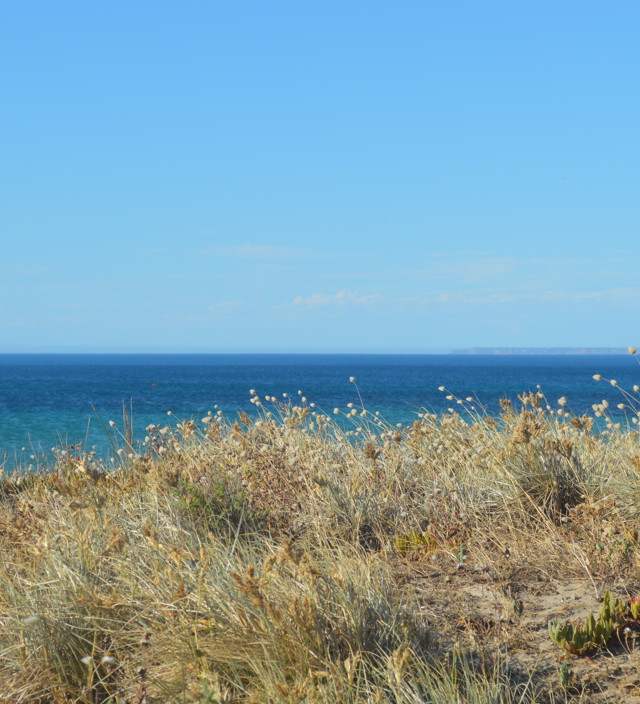 Myponga and Myponga Beach