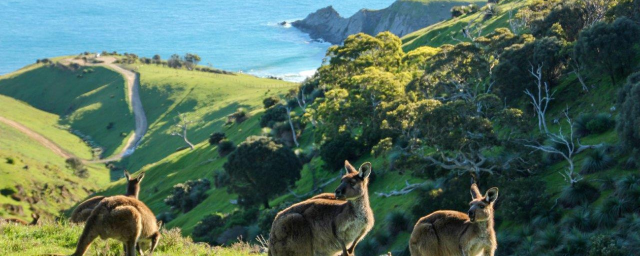 Heysen Trail