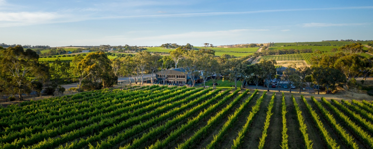 Swell Brewing Co, McLaren Vale